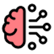 Video Placeholder